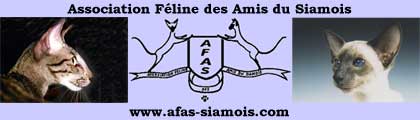 [Bannière du site www.afas-siamois.com]